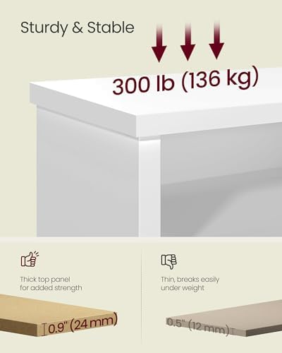 VASAGLE Shoe Bench, Storage Bench, 11.6 x 39.4 x 19.7 Inches