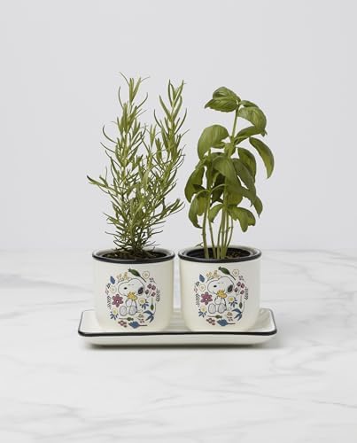 Lenox Chef Snoopy 3-Piece Herb Planter Set