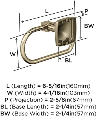 Amerock Stature 6-5/16" Golden Champagne Single Post Toilet Paper Holder