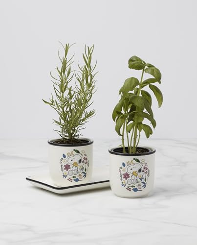 Lenox Chef Snoopy 3-Piece Herb Planter Set