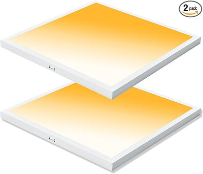 Mcacggo 2x2 LED Flat Panel Light Surface Mount, 40W-30W-20W & 3000K-4000K-5000K