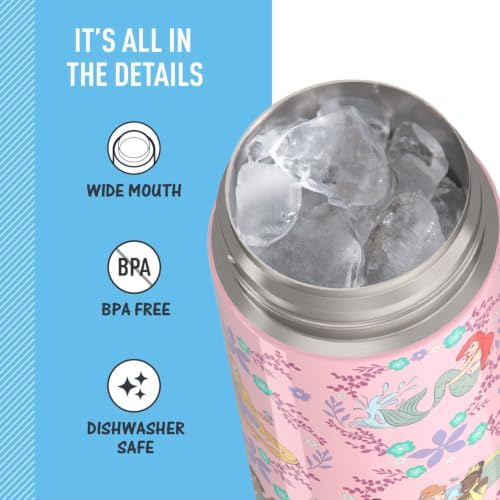 THERMOS FUNTAINER Water Bottle with Spout, 16oz, Princess