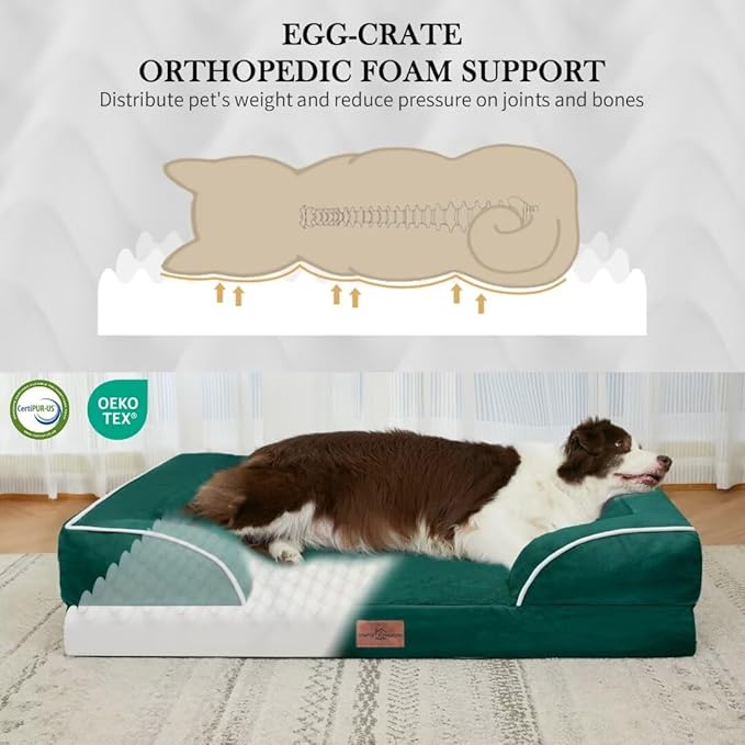 Comfort Expression Orthopedic Dog Bed