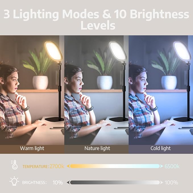 LitONES 2Pcs Desktop Video Conference Lighting