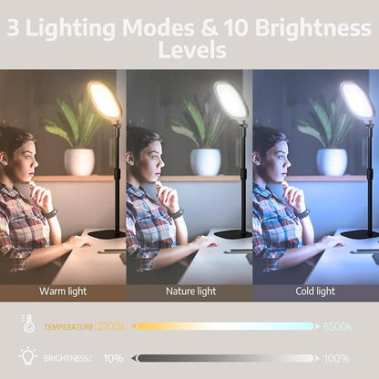LitONES 2Pcs Desktop Video Conference Lighting