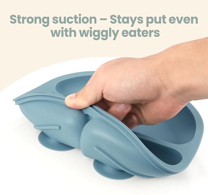 Eascrozn 2 Pack Baby Plates