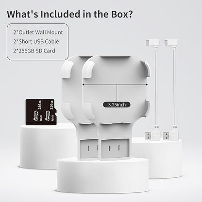 256GB MicroSD Card & Wall Mount