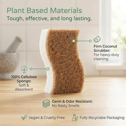 12 Pack Natural Kitchen Sponges, Compostable White Cellulose & Organic Coconut