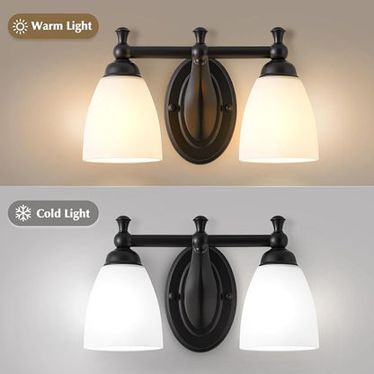 EJIAXIN 2 Lights Bathroom Vanity Light