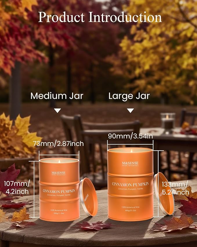 M&SENSE Cinnamon Pumpkin Scented Candles Natural Non Toxic, Aromatherapy Candle for Stress Relief Meditation Relaxing, Housewarming Gifts for Women Men, 11.3oz 70 Hour Long Burning