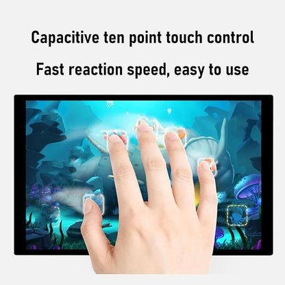 10.1 Inch Capacitive Touch Display, IPS Screen