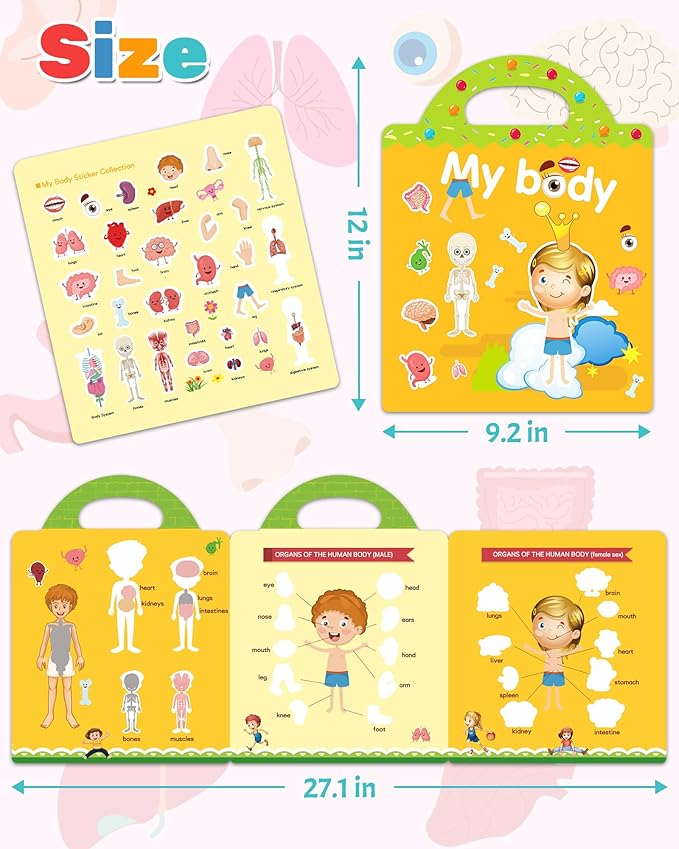 Benresive Reusable Sticker Book for Toddlers 2-4 Years, Fun Travel Stickers for Kids, Waterproof Sticker Books for Toddlers 1-3, Crafts Activities for Todddlers 1-3 2-4 3-5 - My Body