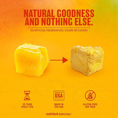 Freeze-Dried Mangoes ??#10 Can | 25-Year Shelf Life | Emergency Food Storage & Snacking