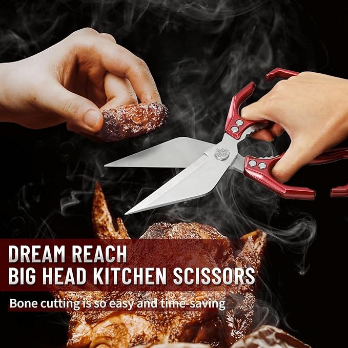 Dream Reach Poultry Shears