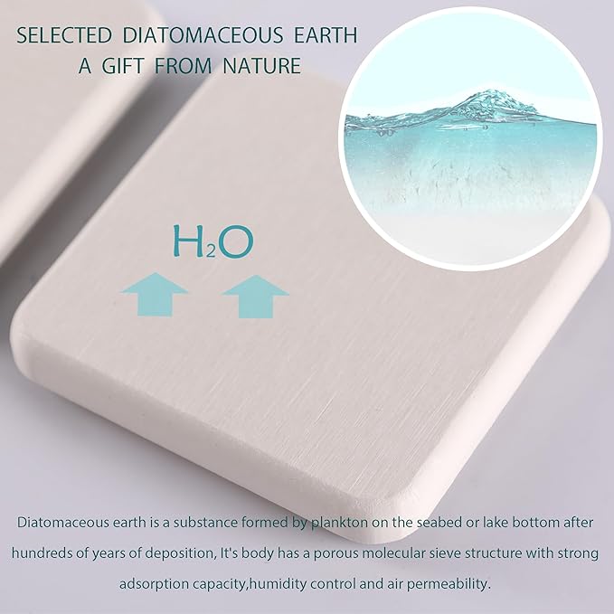 NiuYichee 2 Pcs Water Absorbing Stone Trays, Kitchen/Bathroom Sink Soap Dish