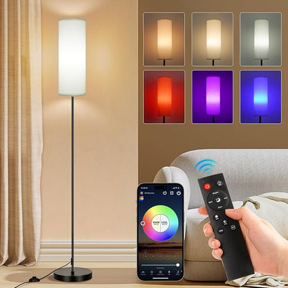 FRIDEKO HOME Floor Lamp, Color Changing Ambient Lighting