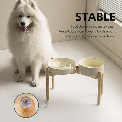 3.2 Cup Ceramic Raised Slow Feeder Dog Bowl Set, Elevated 8.2inch Bowl and