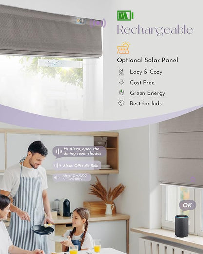 Graywind Smart Roman Shades Compatible