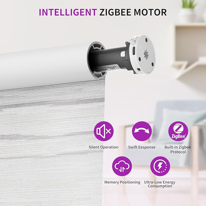 Astomi Motorized Blinds with Remote