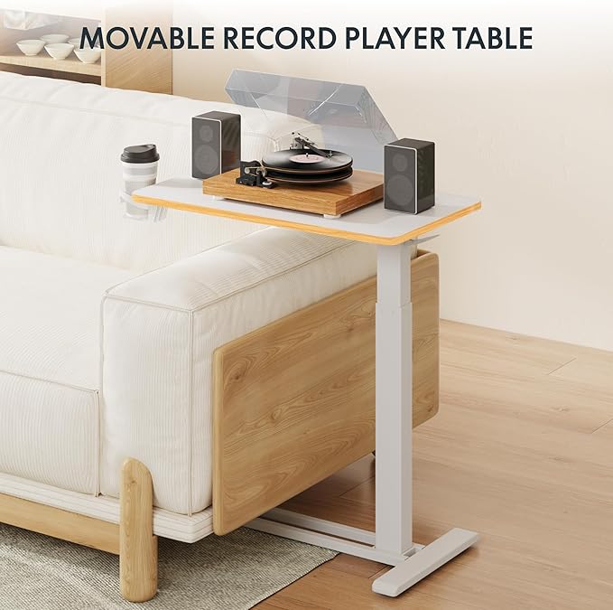 FLEXISPOT Mobile Standing Desk