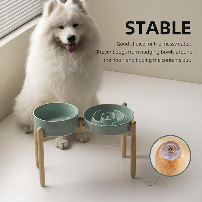3.2 Cup Ceramic Raised Slow Feeder Dog Bowl Set, Elevated 8.2inch Bowl and