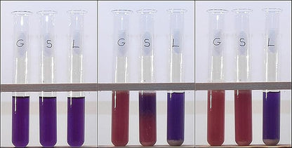 ALDON Innovating Science Cellular Respiration Kit - Excellent for Lab Experiments - The Curated Chemical Collection