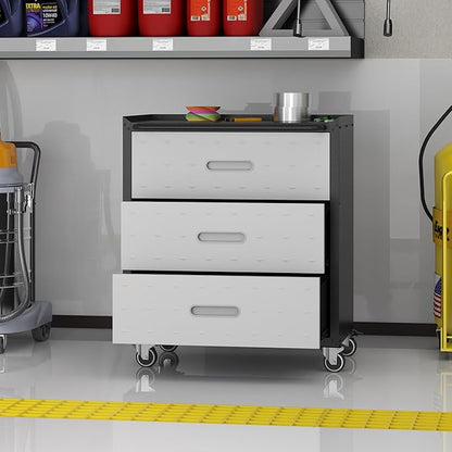Metal Storage Cabinet with Wheels, Rolling Tool Cabinet, Garage Storage Cabinet