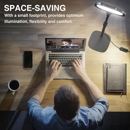 LitONES 2Pcs Desktop Video Conference Lighting