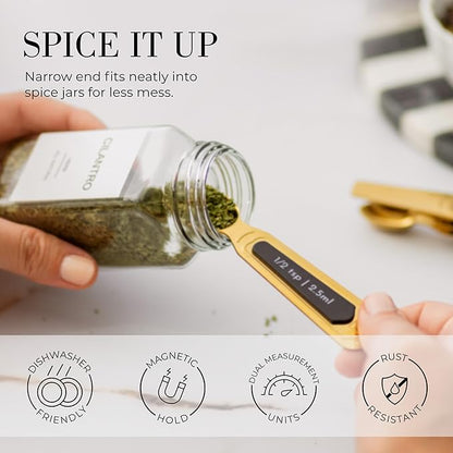 Gold Magnetic Measuring Spoons