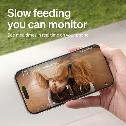 PETLIBRO Automatic Cat Feeder