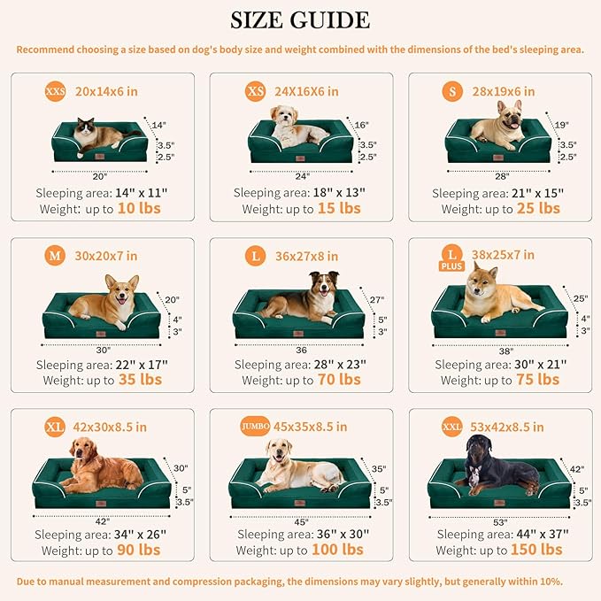 Comfort Expression Orthopedic Dog Bed