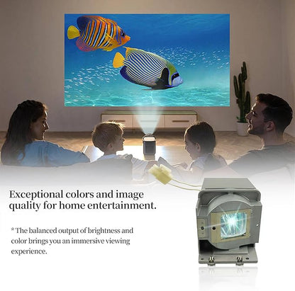 SORNEICDR RLC-072 Replacement Projector Lamp Bulb Compatible