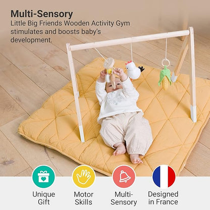 Little Big Friends Wooden Baby Activity Gym – Montessori Play Gym for Babies | Encourages Motor Skills & Sensory Development | Includes Crinkle Fabrics, Wooden Chimes & Hanging Toys – Farm