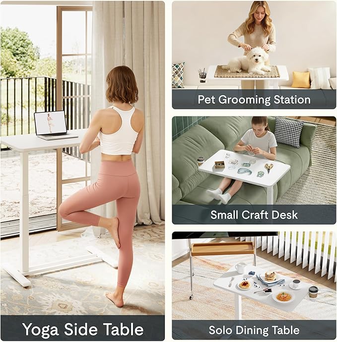 FLEXISPOT Mobile Standing Desk