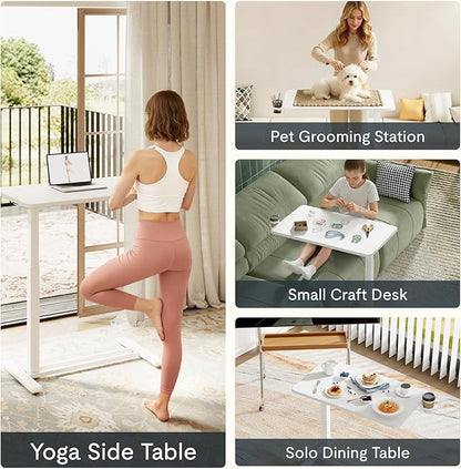 FLEXISPOT Mobile Standing Desk