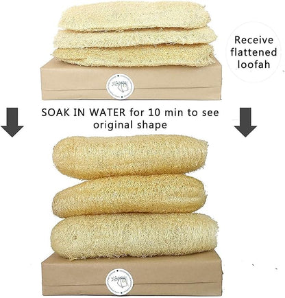 Natural Whole Loofah Sponge
