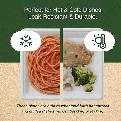 FSE 100% Compostable Square Tray Plates, 8 Inch, Heavy Duty Disposable Plates, Eco-Friendly Unbleached Bagasse, Microwave Safe, (Case of 500)