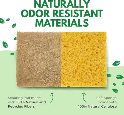 AIRNEX Natural Kitchen Sponges Pack of 18