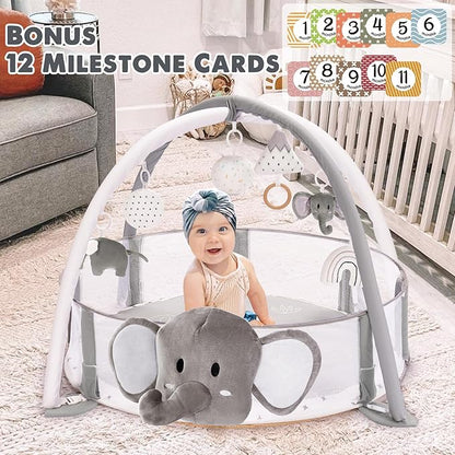 5-in-1 XL Large Baby Gym & Ball Pit, Play Mat & Play Gym, Combination Baby Activity Gym with Milestone Cards for Sensory Exploration and Motor Skill Development, Balls are not Included