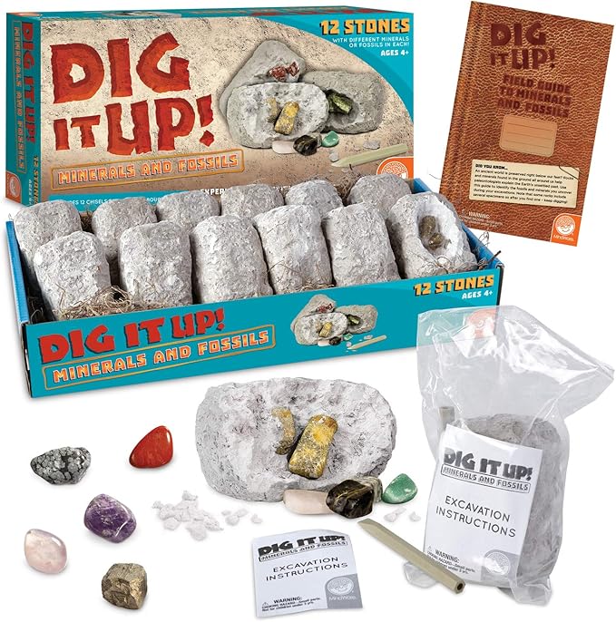 Dig It Up! Fossils & Minerals