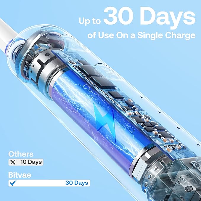 Bitvae R2 Rotating Electric Toothbrush