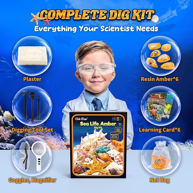 GobiDex Sea Life Amber Dig Kit, Educational Fun Toys STEM Activities Science Kits for Kids Age 6-8-12, Dig Up 6 Real Artificial Shellfish Resin&Collection Specimens, Birthday Gifts for Boys and Girls