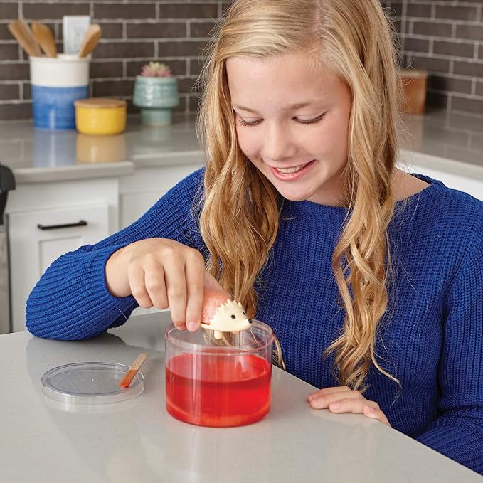 MindWare Crystal Growing Kits: Hedgehogs Warm Colors Set of 2 – Cute DIY Crystal Growing Kits for Kids & Teens – Mini Science Experiment – Crystals Grow in 24 Hours