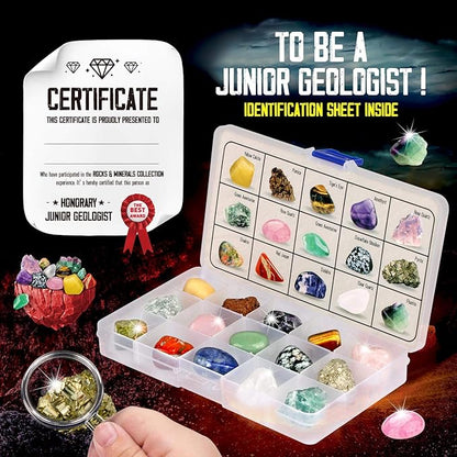 XXTOYS Rocks Collection - 15-Piece Rock Collections for Kids - Cool Geology Gem Kit with Identification Sheet - Gemstones Set Box with Learning Guide and Storage Case - Educational Gift for Kid