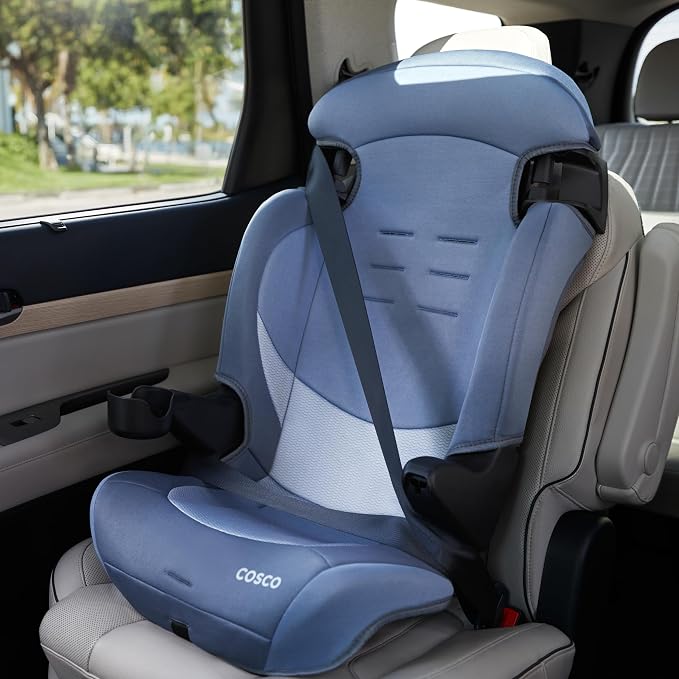 Cosco Kids Finale DX 2-in-1 Booster Car Seat, Forward Facing Toddler Car Seat (40-65 lbs) and Belt Positioning High Back Booster (40-100 lbs), Organic Waves