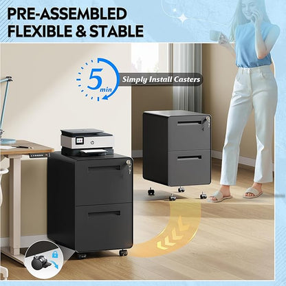 DEVAISE 2-Drawer Rounded Corner Metal File Cabinet