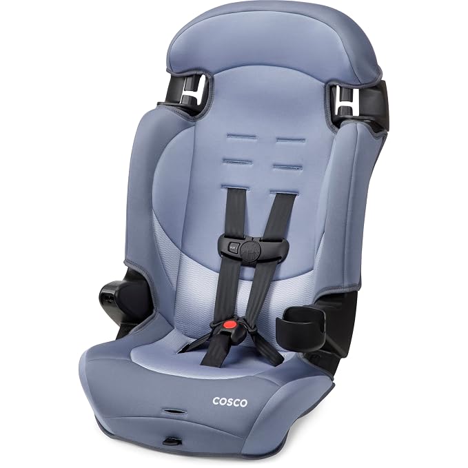 Cosco Kids Finale DX 2-in-1 Booster Car Seat, Forward Facing Toddler Car Seat (40-65 lbs) and Belt Positioning High Back Booster (40-100 lbs), Organic Waves