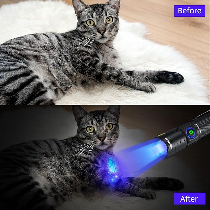 DARKDAWN UV Flashlight 365nm Light Mini USB Rechargeable Ultraviolet LED Blacklight Woods Lamp Powerful Fluorescent Portable Detector for Pet Urine Stains, Uranium Glass, Money, Resin Curing