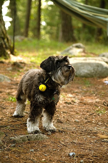 Coghlan's Magnetic Bear Bell with Silencer, Yellow ??Outdoor Safety for Hiking, Camping, and Wildlife Protection ??Noise Alert Deterrent for Bears and Other Wildlife